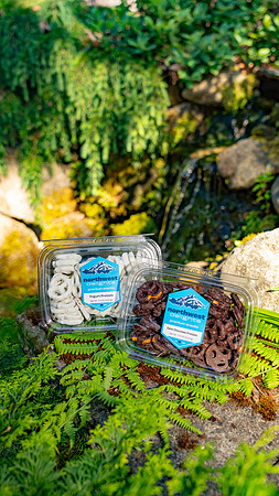northwest delights nature 014