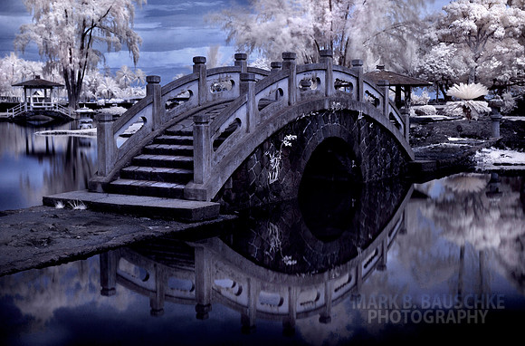 Crossing Over