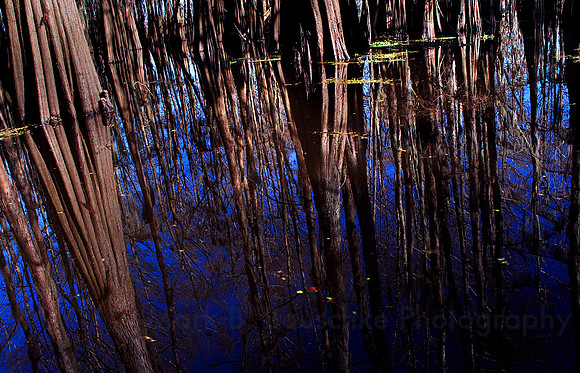 reflection