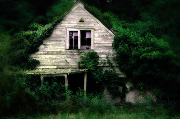 dark_farm_green